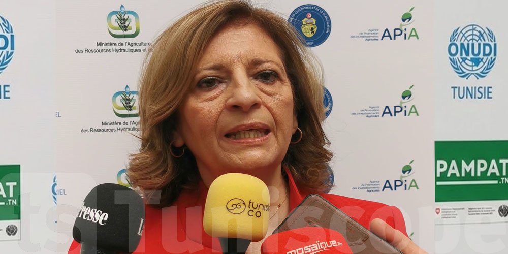 لمياء ثابت: PAMPAT 2 فتحت أبواب جديدة أمام المنتجين التونسيين